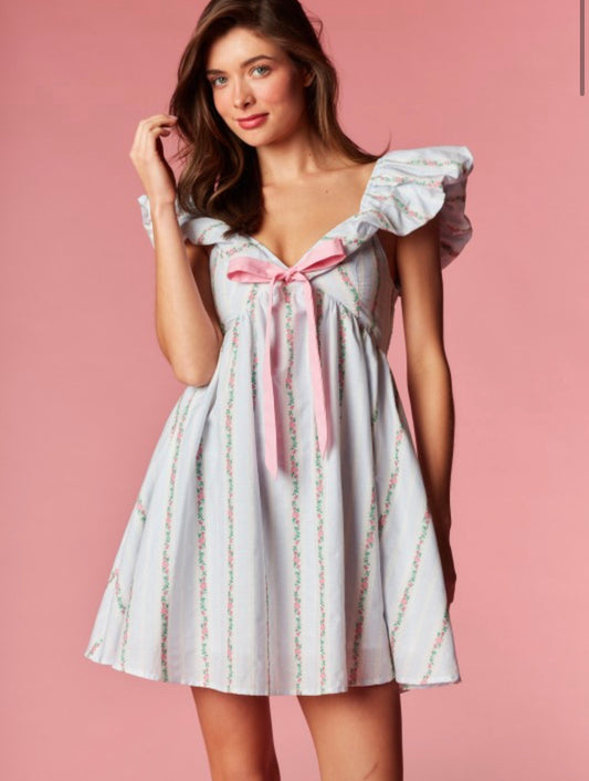 Floral Embroidered Mini Ruffle Bow Dress