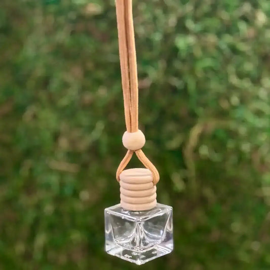 Bird of Paradise  Car Diffuser